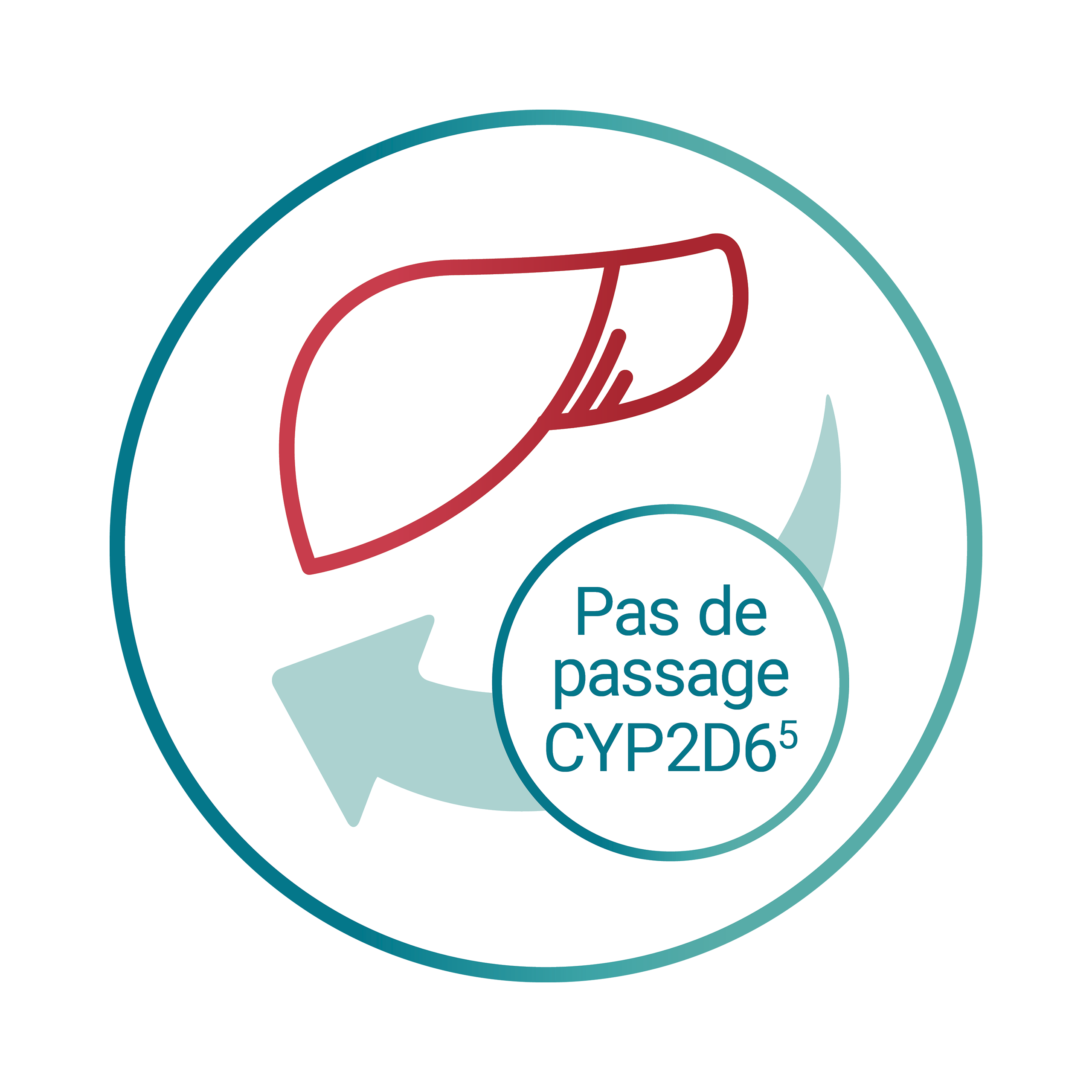 Pas de passage CYP2D6