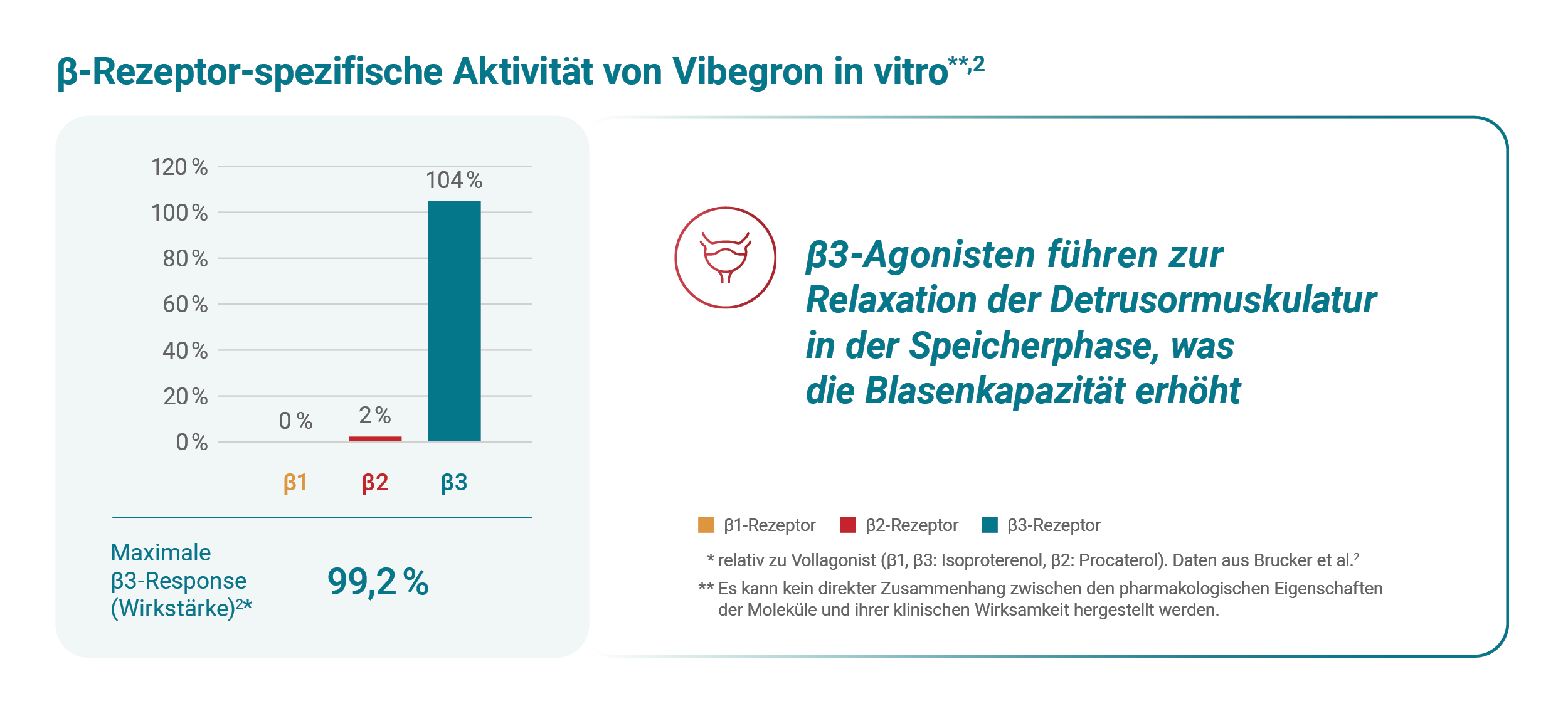 ß-Rezeptor-spezifische Aktivität von Vibegron in vitro