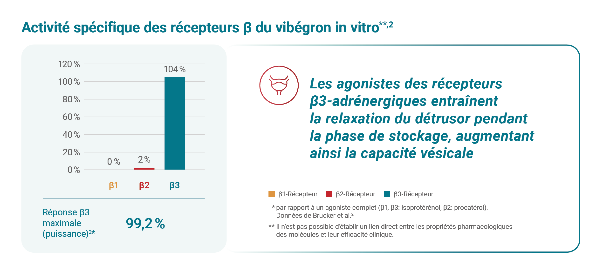 Activité spécifique des récepteurs ß du vibégron in vitro